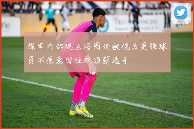 绿军内部观点塔图姆被视为更强球员不愿意留住双顶薪选手